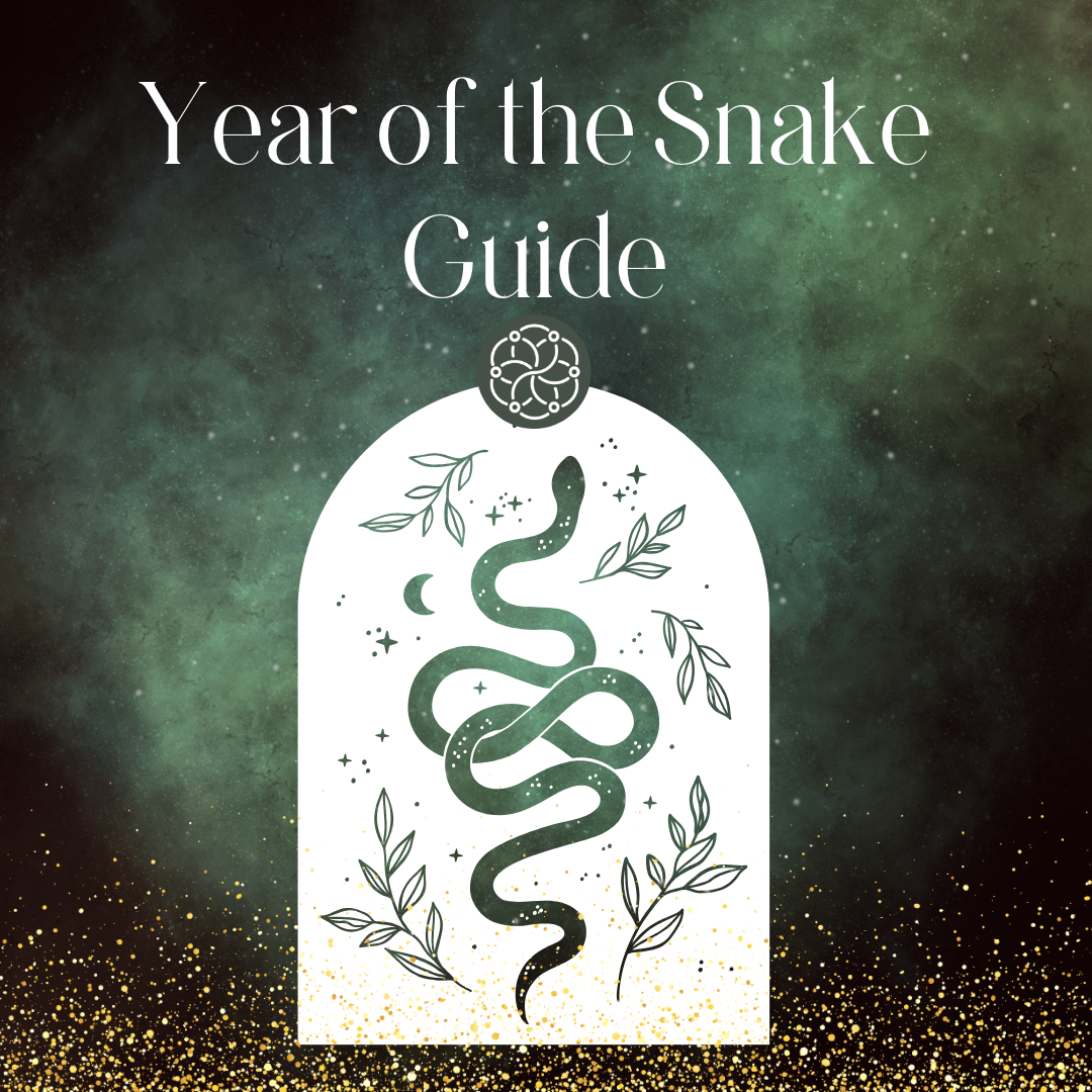 Year of the Snake Guide