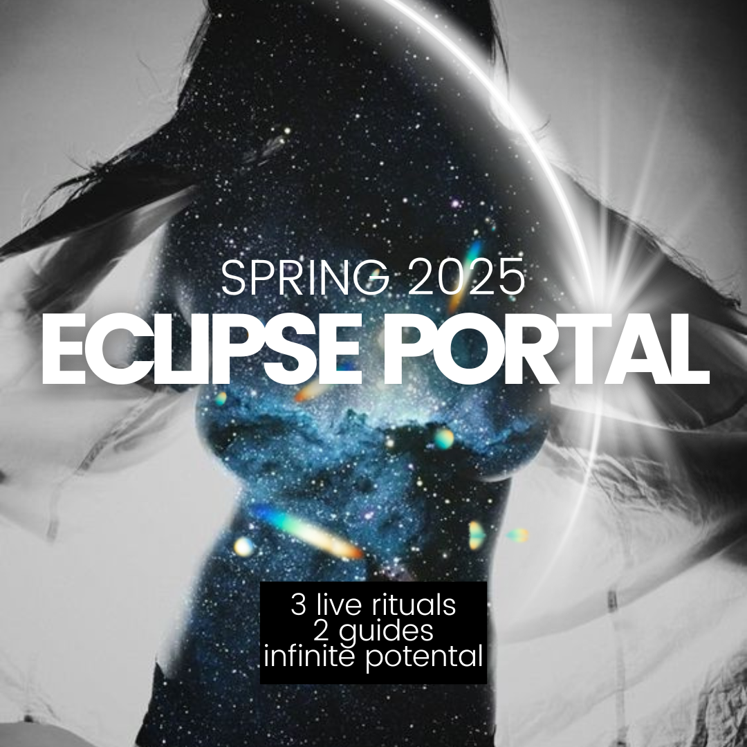 2025 Eclipse Portal