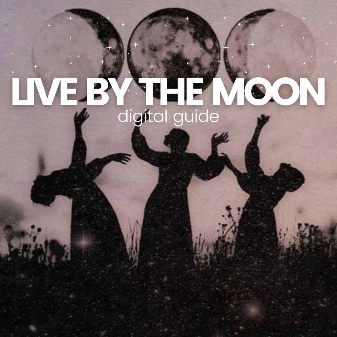 Live by the Moon Guide